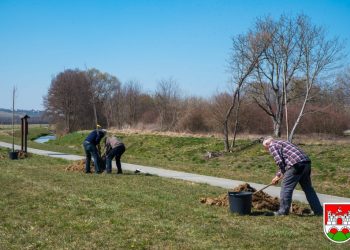 Od iduće godine Daruvar će biti još zeleniji