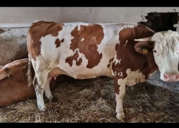 Počele isplate poljoprivrednicima