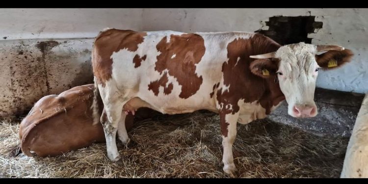 Počele isplate poljoprivrednicima