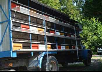 Isplaćene potpore pčelarima