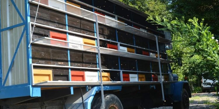 Isplaćene potpore pčelarima