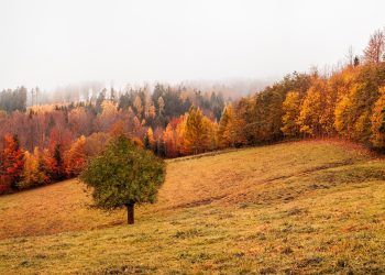 Pred nama je kišni vikend