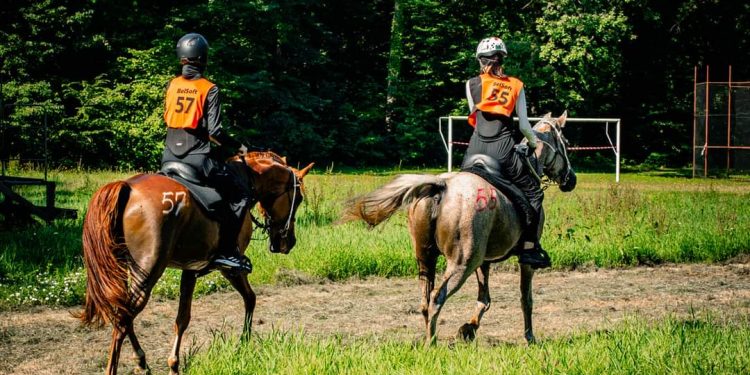 Izabrano novo vodstvo Sportskog odbora za daljinsko jahanje HKS-a
