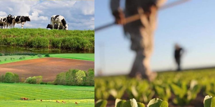 Općina Veliki Grđevac poziva poljoprivrednike da se jave za potpore