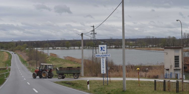 U Ribnjačarstvu Končanica pripremili dovoljne količine ribe za domaće kupce