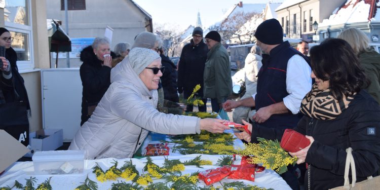 Uz Dan mimoza liječnici podvukli činjenicu da se rak vrata maternice može spriječiti cijepljenjem