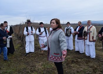 U Daruvaru sve spremno za proslavu Vincekova