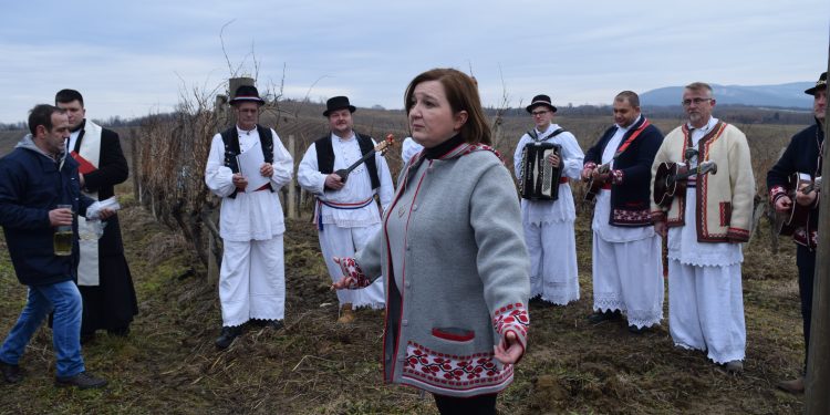 U Daruvaru sve spremno za proslavu Vincekova