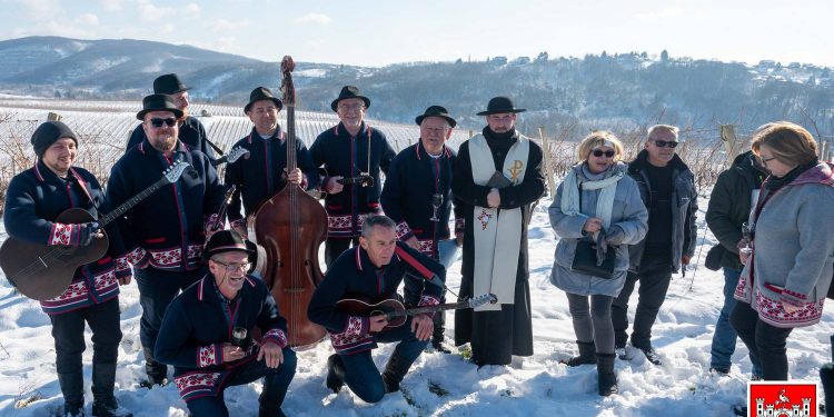 Vincekovo u daruvarskim vinogradima