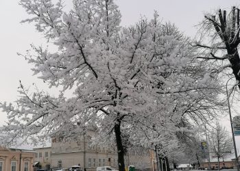 Savjeti iz županijskog Zavoda za javno zdravstvo