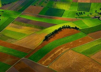 Nisu obavezne, ali ako ih ne dostavljate može vam doći kontrola