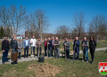 Za zeleniji i medonosniji Daruvar