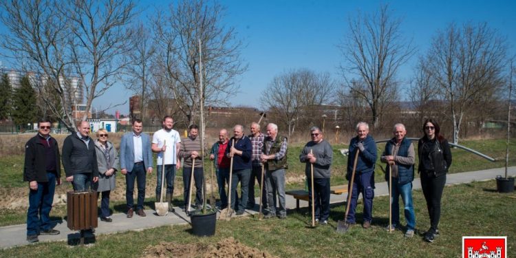 Za zeleniji i medonosniji Daruvar