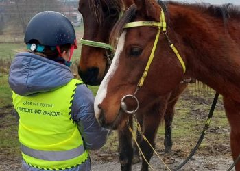 Čazmanski jahači upozoravaju na neodgovorno ponašanje vozača