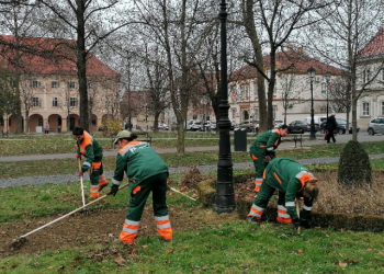 Komunalac krenuo s uređenjem zelenih javnih površina u Bjelovaru