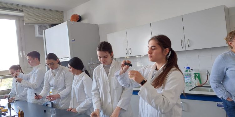 Učenici bolje pamte u prostorijama aromatiziranim citrusnim eteričnim uljima