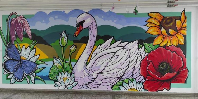 Novo lice bijele labudice