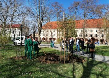 U Bjelovaru je krenuo projekt zelena mreža