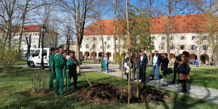 U Bjelovaru je krenuo projekt zelena mreža