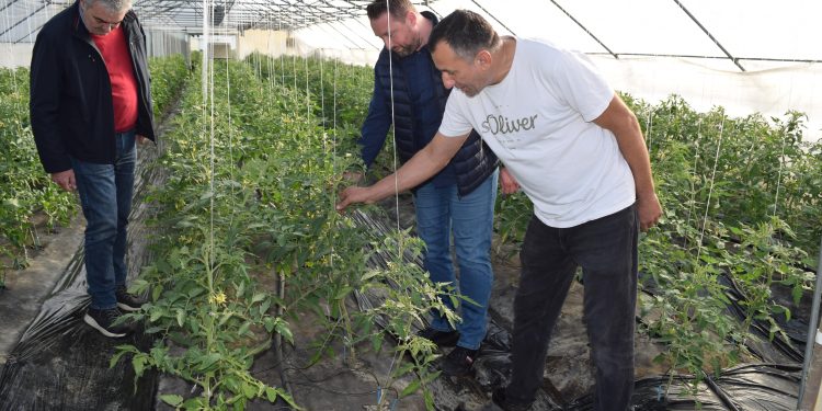 Objavljen bjelovarski javni poziv za potpore u poljoprivredi