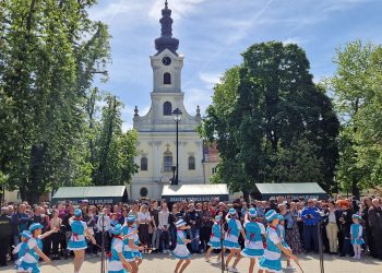 Spremno 2600 porcija graha