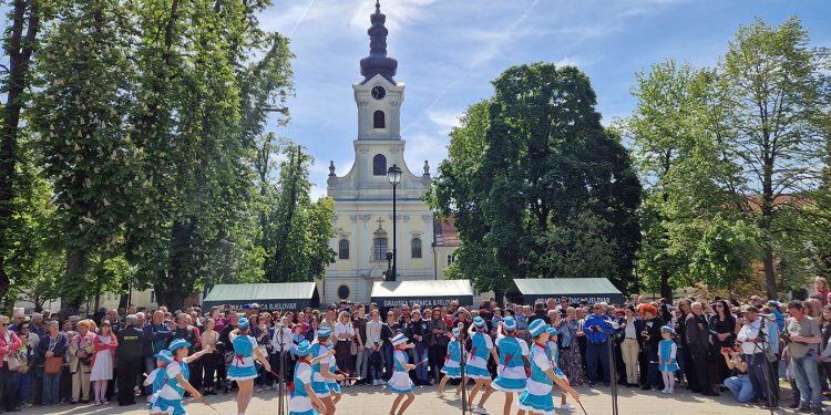 Spremno 2600 porcija graha