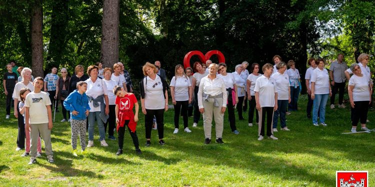 Međugeneracijska solidarnost na daruvarski način