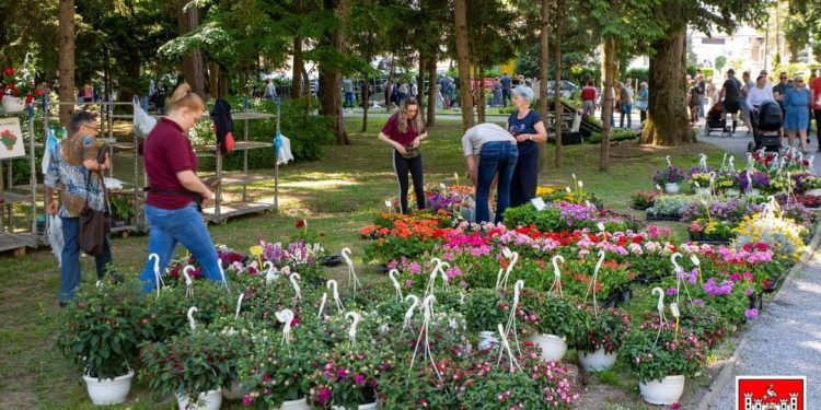 Ove subote svi ste pozvani na Sajam cvijeća u Daruvaru