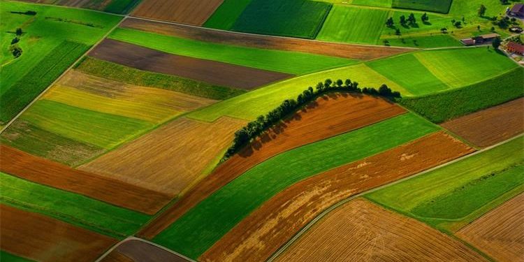 Grubišno Polje potiče razvoj poljoprivrede kroz 16 mjera
