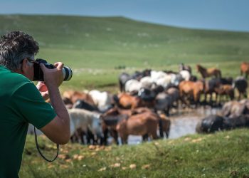 Otvoren izbor za najbolje ruralne fotografije u 2024. godini