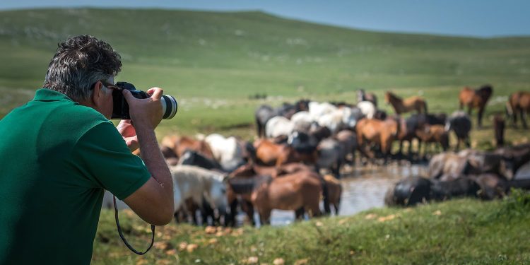 Otvoren izbor za najbolje ruralne fotografije u 2024. godini