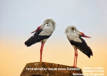 Otvoren foto natječaj “Volim svoju županiju”, prijavite se, očekuje vas vrijedna nagrada