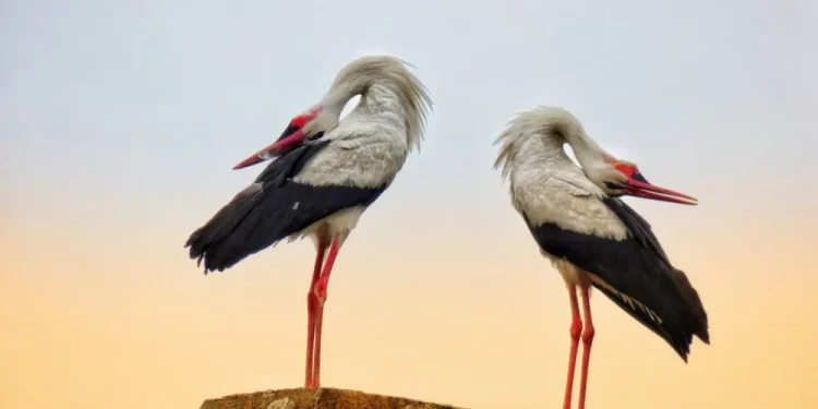 Otvoren foto natječaj “Volim svoju županiju”, prijavite se, očekuje vas vrijedna nagrada