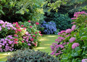 U tijeku prijave za izbor najljepše bilogorske okućnice