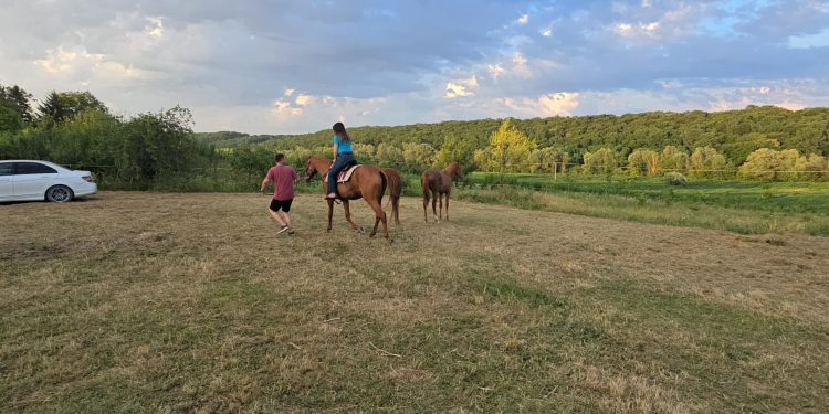 Konjički turizam probija se i na području općine Rovišće