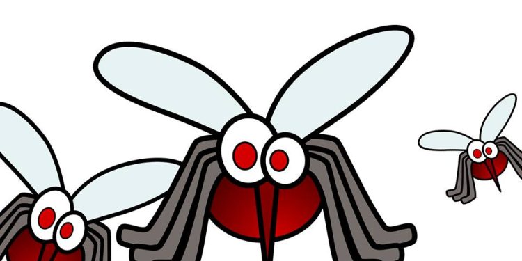 Crveni križ Bjelovar poziva na srpanjsku akciju darivanja krvi