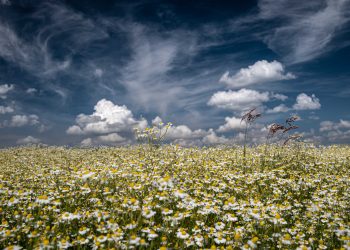 Stručni žiri kao najljepšu u Hrvatskoj proglasio fotografiju iz naše Županije
