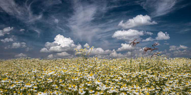 Stručni žiri kao najljepšu u Hrvatskoj proglasio fotografiju iz naše Županije