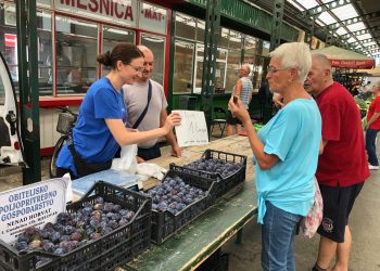 Na tržnicu stigle Horvatove čačanske ljepotice