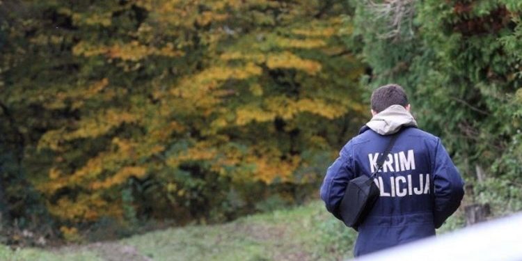 U Trojeglavi rušeći stablo smrtno stradao 63-godišnji vlasnik šume