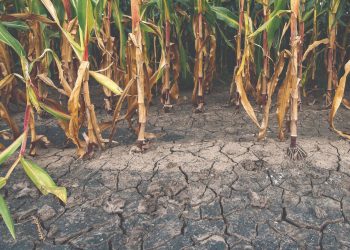 Župan proglasio prirodnu nepogodu za jedan grad i tri općine