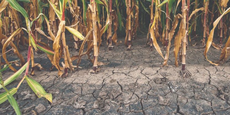 Župan proglasio prirodnu nepogodu za jedan grad i tri općine