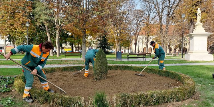 Krenula sadnja tulipana u središnjem bjelovarskom parku