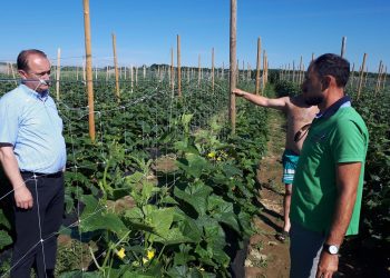 Grad osigurava potpore za poljoprivrednike