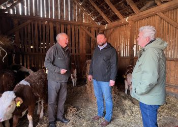 Posljednji Mohikanci iz Letičana, obitelj Galin ne odustaje od stočarstva