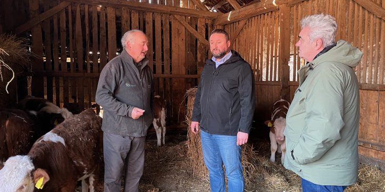 Posljednji Mohikanci iz Letičana, obitelj Galin ne odustaje od stočarstva