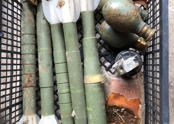 Manje oružja, manje tragedija