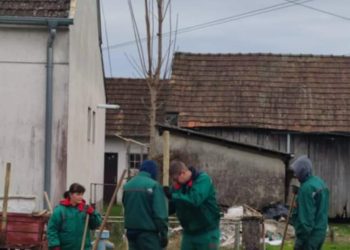 Jesensko ozelenjavanje Bjelovara