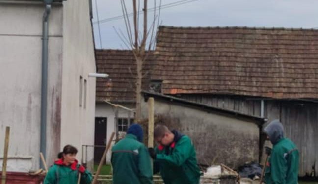 Jesensko ozelenjavanje Bjelovara