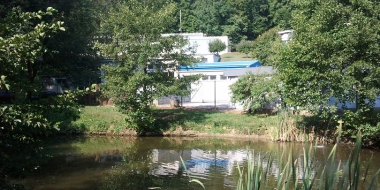 Bjelovarske Vodne usluge za sada ne planiraju povećanje cijene vode pridruženim gradovima